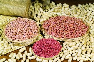 河南花生爆料新闻